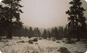 Image result for tbn:0PJB32OL7JwfOM::farm4.static.flickr.com/3324/3329876139_f2d551139f.jpg