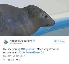 Zoos Get Into Brutal Cuteanimaltweetoff Battle And It S Exactly What The Internet Needed Animals Zoo Animals Cute Animals