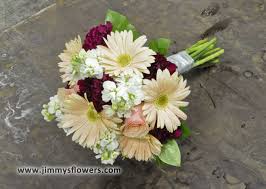 Ogden hot springs, ogden river canyon, wasatch range, davis county, utah, chris walls 2. Jimmy S Flower Shop Your Trusted Ogden Florist Since 1948 Coral Flowers Wedding Flowers Bridal Bouquet
