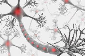 The Sympathetic Nervous System Fibromyalgia Pain