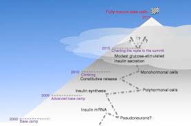 Nov 02, 2015 · the key to unlocking stem cell's potential and blocking a deadly threat. The Quest To Make Fully Functional Human Pancreatic Beta Cells From Embryonic Stem Cells Climbing A Mountain In The Clouds Springerlink