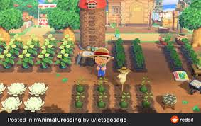 Acnh Cute Garden Animal Crossing Animal Crossing Qr Animal Crossing Game