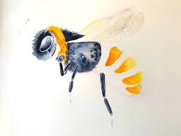 Aquarell Biene Schritt Fur Schritt Zum Honig Etikett Creative Club
