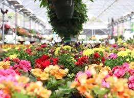 The arbor gate is a garden center and plant nursery that is an inspired collection of unusual plants, herbs, fruits, vegetables, and natives. The 5 Most Insta Worthy Nurseries In Houston Mitogrow
