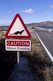 Road Sign In Shetland Scotland Scotland Funny Road Signs Funny Signs