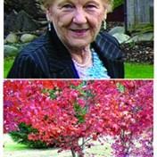 Kuzyk Family Obituaries