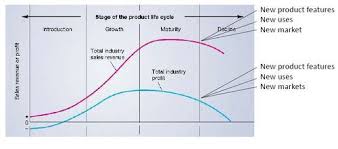 Catatan elisa koraag may 2018 / setiap. Ksatria V Strategic Marketing Plan