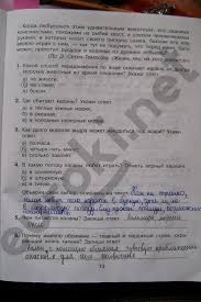 гдз тренажер по русскому языку 2 класс шклярова ответы Russkij Yazyk Kompleksnyj Trenazher 4 Klass Gdz Prakard