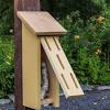 Butterfly house plans can be hard to find, but here's one we like on how to make a butterfly house. 3