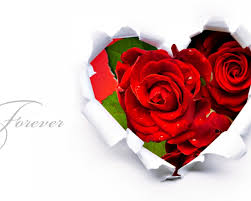 Image result for The best Flower in the world