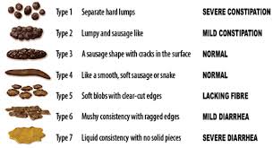 Bristol Stool Scale Wikiwand