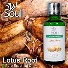 Akar teratai dikatakan memiliki rasa seperti kentang, yang dapat membantu kita mengatasi keinginan untuk pati akar teratai yang tampaknya diremehkan ini memiliki banyak manfaat ketika dikonsumsi. Minyak Pati Akar Teratai 50ml Rm58 00 Kedai Bf1 Minyak Wangi Minyak Essential Pati Minyak Dan Herba Malaysia