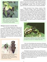 Lack of medical care, food and social services results in higher mortality rates for women. Biological Control Of Weeds It S A Natural Pdf Free Download