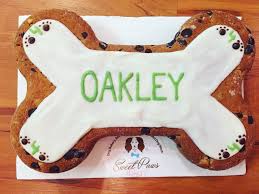 Instantly find a good cake store, bakery & cakery near your location. Dog Cake Bakery Online Shopping