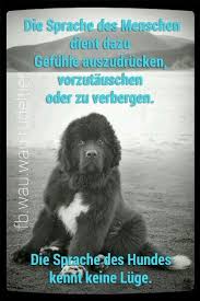 Sprüche hund mensch beziehung language:de. Die Sprache Des Menschen Dient Dazu Gefuhle Auszudrucken Vorzutauschen Oder Zu Verbergen Die Sprache Des Hundes Kennt Spruche Tiere Lustige Hunde Hunde Shirt
