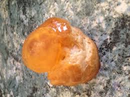Pate A Choux Sucre Ou Sale Recette Recette Pate A Choux Pate A Choux Recette