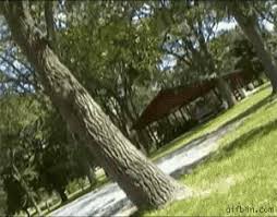 pin by 健太 白井 on gifs stupid guys funny gif funny memes