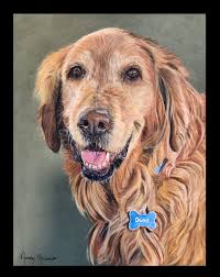 Hello Golden Retriever lovers, I'm a golden retriever lover and artist. I'd  like to share my drawing of Ashes the golden retriever. I hope you like it. 