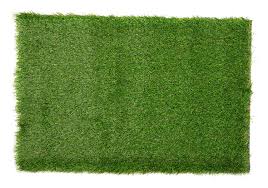 Maybe you would like to learn more about one of these? Arificial Grass Mat For Balcony Lawn Floor Or Door By Agra Dari Bhandar Artificial Grass 40mm Artificial Grass Durable Plastic Turf Carpet Mat Artificial Grass Turf 1 5 Feet X