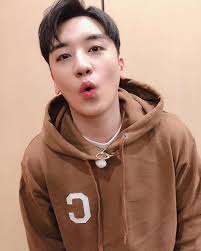 So cute he has freeking cute panda eyes chubby cheeks he makes the cutest stupid. 150 Seungri Ideas Seungri Bigbang Seungri Panda