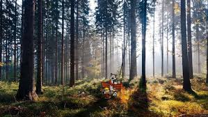 Calvin And Hobbes Photoshopped Into Photographs Of Real Locations Calvin And Hobbes Calvin And Hobbes Wallpaper Photoshop Images