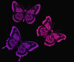 Check spelling or type a new query. 1280x800 Pink Butterflies Artistic 720p Hd 4k Wallpapers Images Backgrounds Photos And Pictures