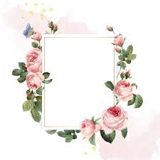 Download Blank Rectangle Pink Roses Frame On Pink And White Background For Free Pink And White Background Rose Frame Flower Frame