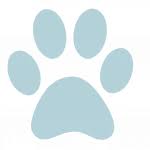 Easton veterinary clinic & rehabilitation center, easton, maryland. Welcome To Pet Health Clinic