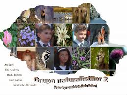 Plante unice in peisajul carpatilor romanesti. Ppt Vegetatia Fauna Si Flora Romaniei Powerpoint Presentation Free Download Id 4946359