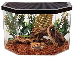 Kollercraft Repitat Flat Backed Reptile Habitat 5 Gallon Https Www Amazon Com Dp B001b4tubo Ref Cm Hermit Crab Habitat Reptile Terrarium Reptile Habitat
