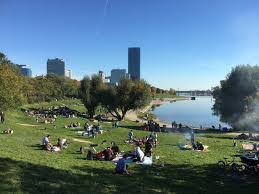 Die hielten sich währenddessen auf dem grillplatz im bereich der brigittenauer bucht auf. Donauinsel