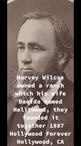 David Wilcox Chef Los Angeles