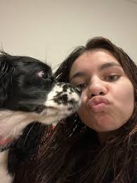 Any dog-friendly mini vacation ideas near Dublin, OH?