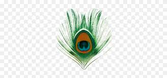 We did not find results for: Krishna Peacock Feather Png Transparent Png 300x315 6713328 Pngfind