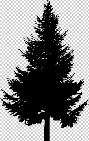 Perfect for creating beach city designs, city logos, sea or ocean designs, vacation or travel. Pine Tree Silhouette Png Clipart Black And White Branch Christmas Decoration Christmas Ornament Christmas Tree Free