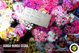 Pasar malam brinchang cameron highland #cameronhiglhand #pakchui. Pasar Malam Cameron Highland C Letsgoholiday My