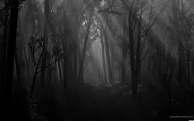 Dark forest and lightning storm. Spooky Forest Wallpapers Wallpaper Cave