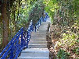 新店碧潭西岸 和美山登山步道 太極瑜珈網 隨意窩xuite日誌 stairs home decor decor