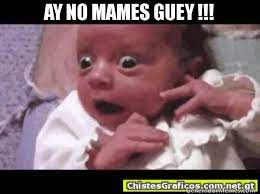 Ay No Mames Wuey Memes Funny Humor