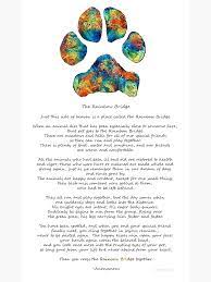 With the fruits of the spirit, god's gift from above, then i saw jesus with my little baby, so full of love. Rainbow Bridge Poem With Colorful Paw Print By Sharon Cummings Postcard By Sharoncummings Redbubble