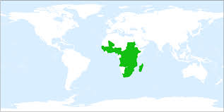 Image result for Eriosema psoraleoides