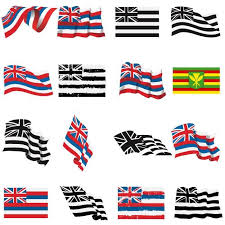 Pin On Hawaii Flags