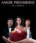 Ver Todos Los Capitulos De Amor Prohibido Completamente Gratis Turkish Film Telenovelas Novels