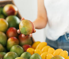Indica has been cultivated in south and southeast asia since ancient times resulting in two distinct types of modern mango cultivars: How To Choose A Mango Ripe Mango National Mango Board