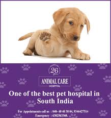 Animal care clinic list of employees: Animalcareclinic Hashtag On Twitter