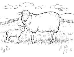 Free coloring sheets to print and download. Sheep Coloring Pages For Kids Bmo Show