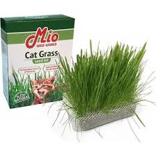 Mio Cat Grass Kedi Cimi Fiyati Taksit Secenekleri Ile Satin Al