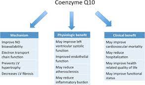 Coenzyme Q10 And Heart Failure Circulation Heart Failure