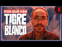 El juego de la cara. Tigre Blanco Lo Que Tienes Que Saber Antes De Verla Youtube