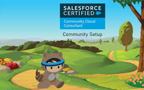 Salesforce Community Cloud Consultant Exam Preparation Community Setup